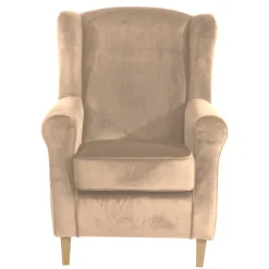 Wohnzimmer Ohrensessel Luenza
