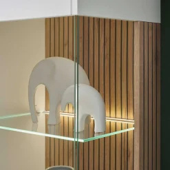 Wohnzimmer Schrankwand Saladd