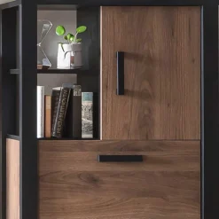 Wohnzimmerschrank Besi
