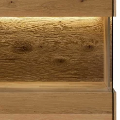 Wohnzimmervitrine Onitos